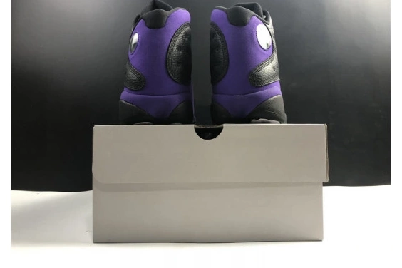 Air Jordan Retro DJ5982-015 Court Purple DJ5982-015 13  0630